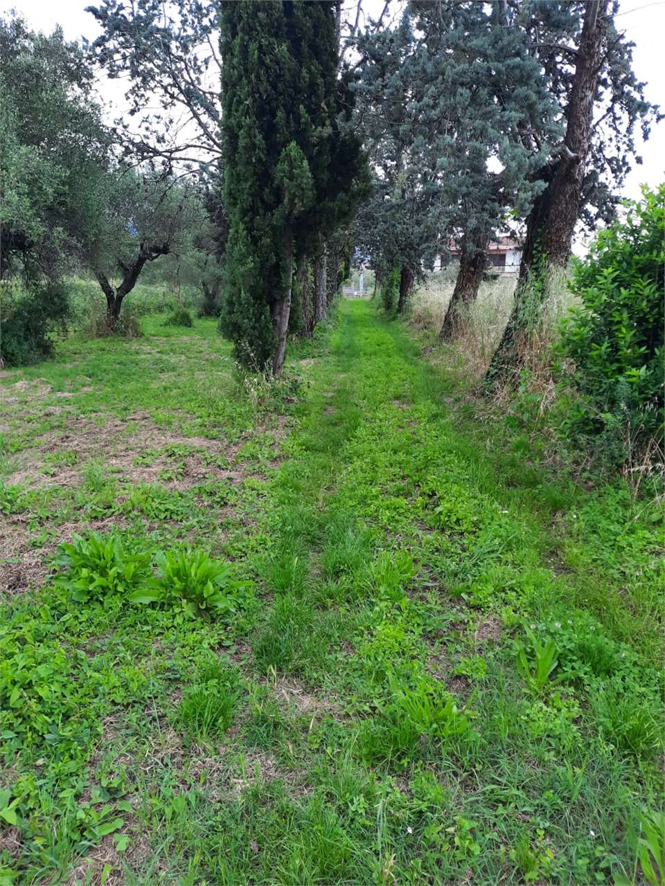 immagine annuncio 3 di 4