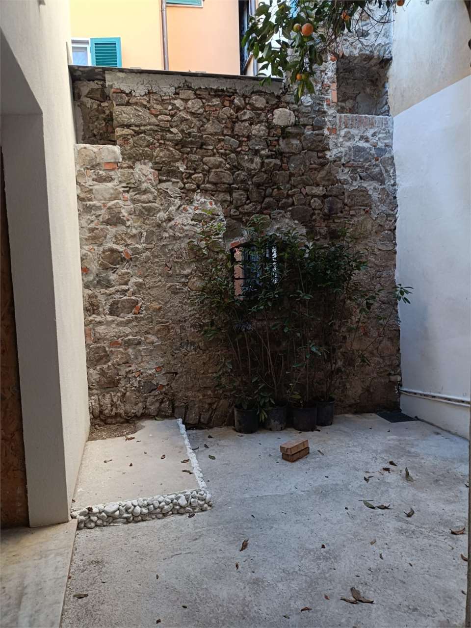 immagine annuncio 5 di 12