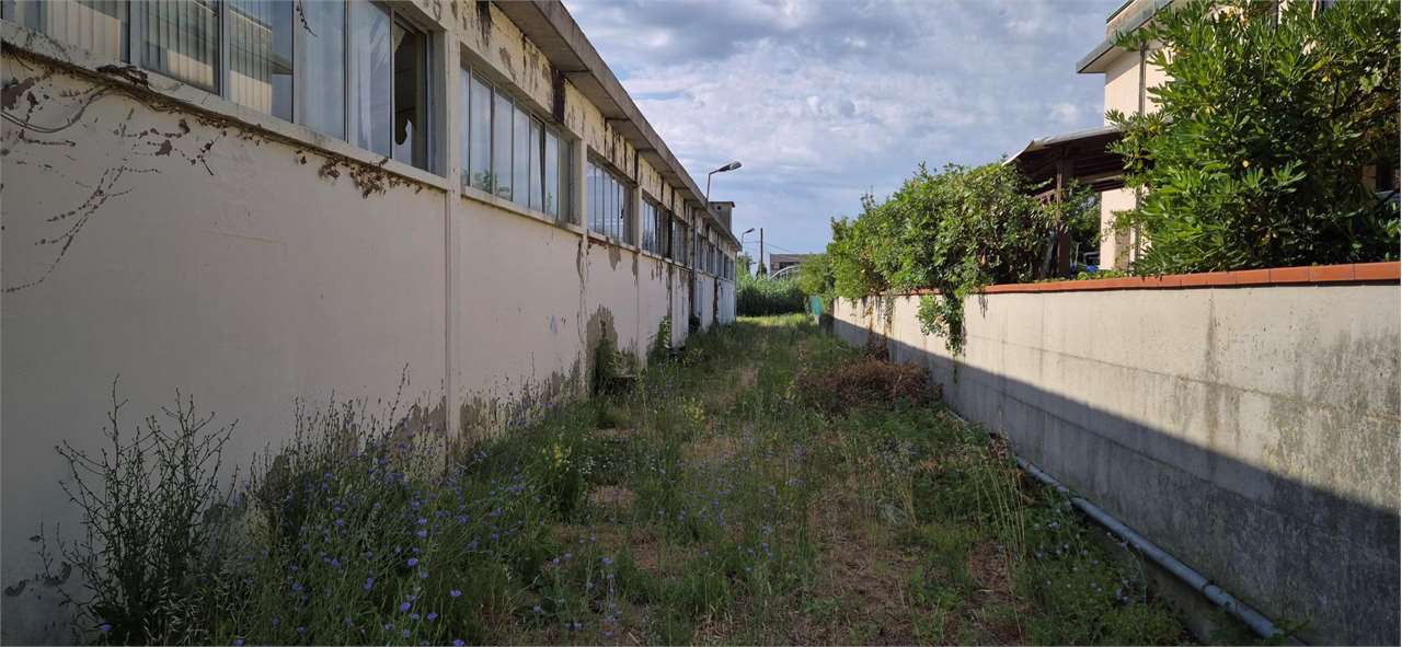 Immobile industriale a Vicopisano (PI) in vendita