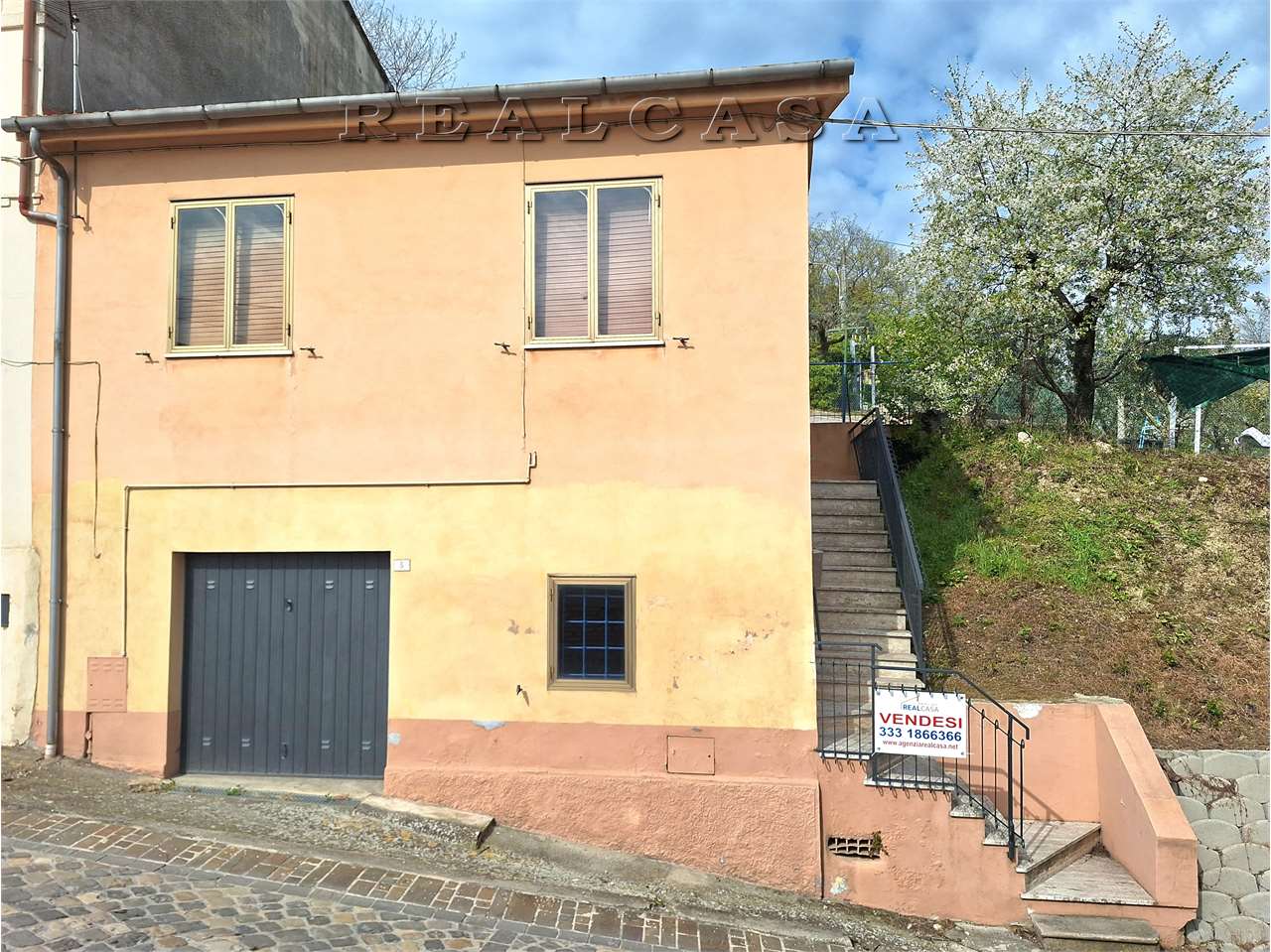 immagine annuncio 12 di 15