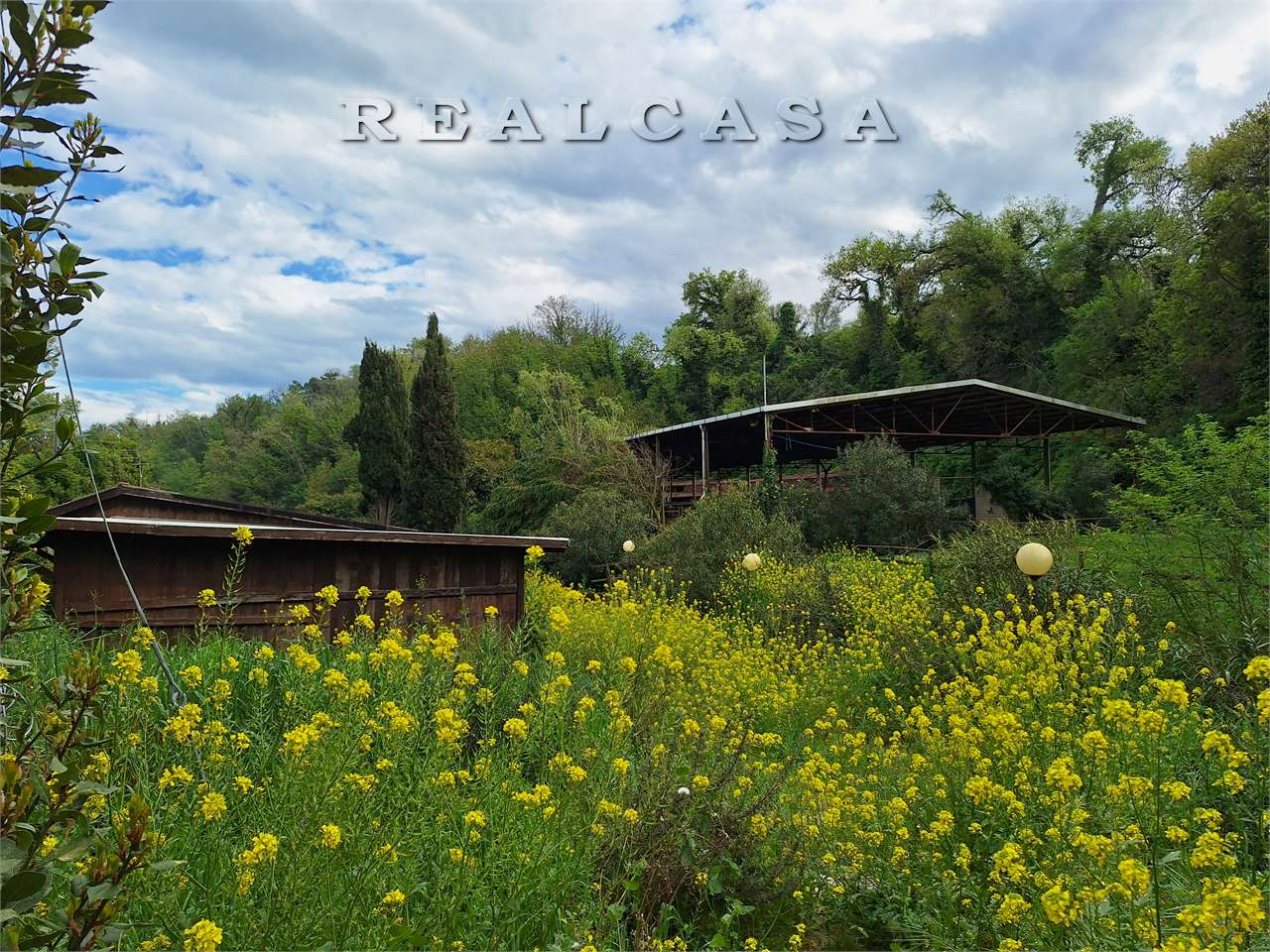 immagine annuncio 12 di 15