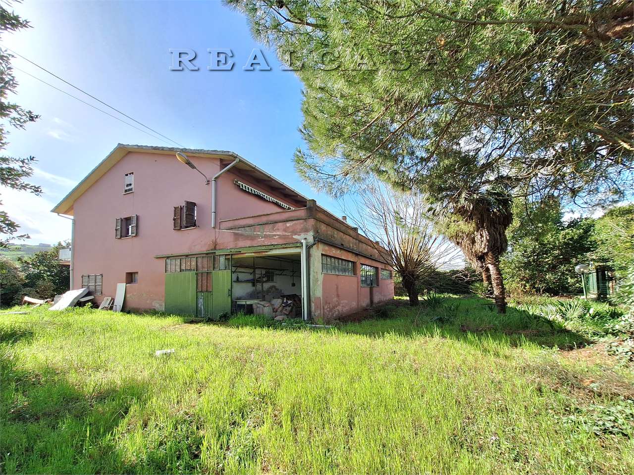 immagine annuncio 12 di 15