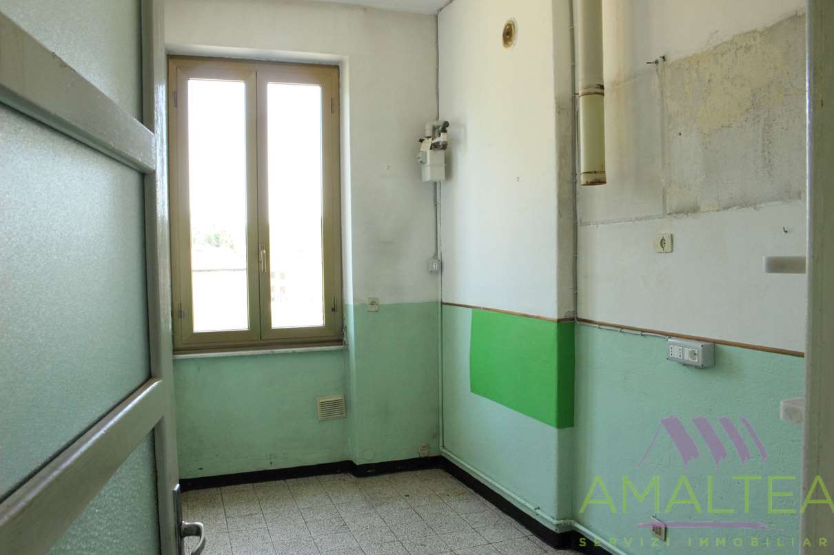 Immagine 6