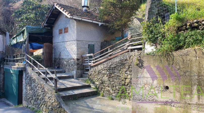 Immagine 3