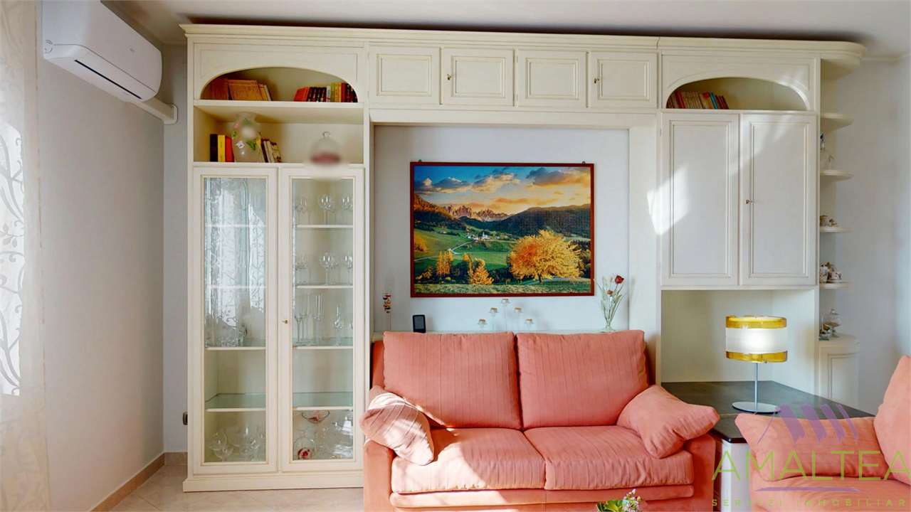 Immagine 7