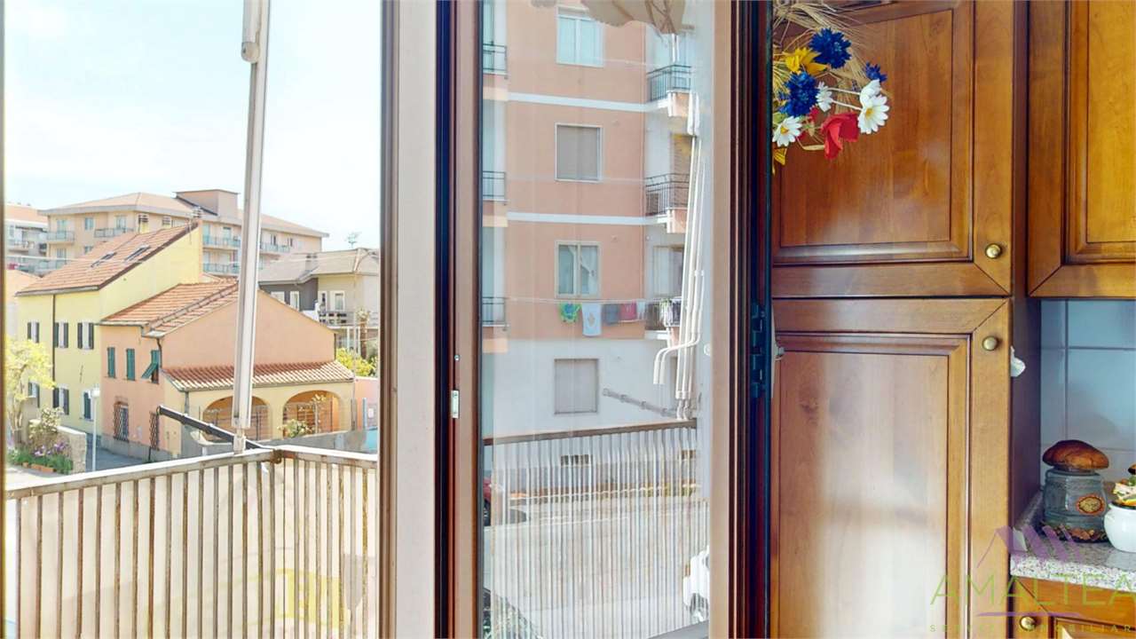 Immagine 7