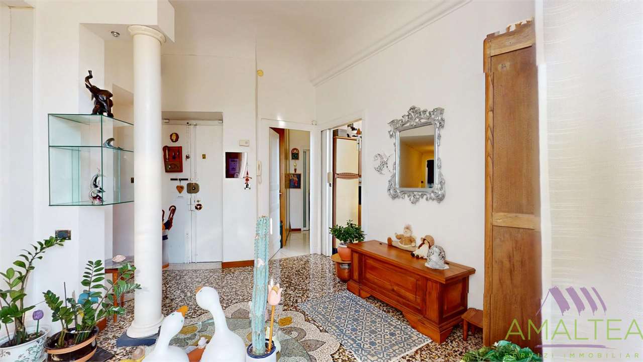 Immagine 5