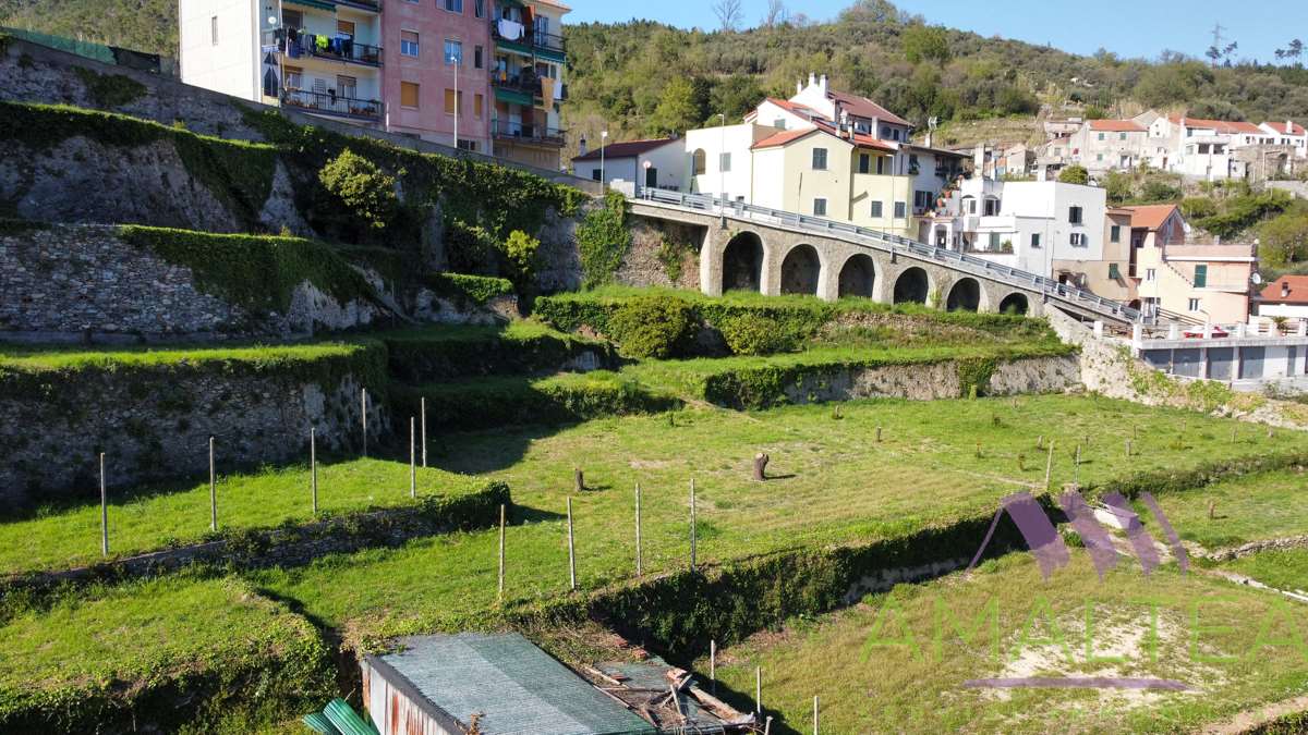 Immagine 9