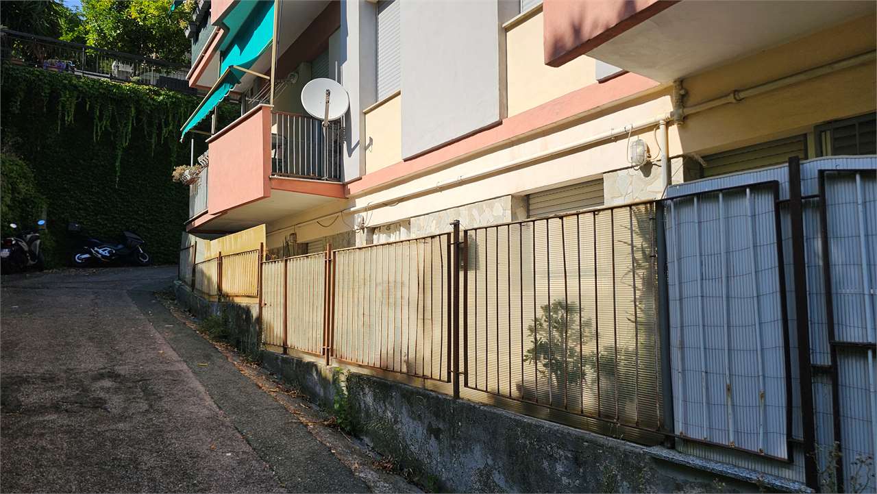 Immagine 26