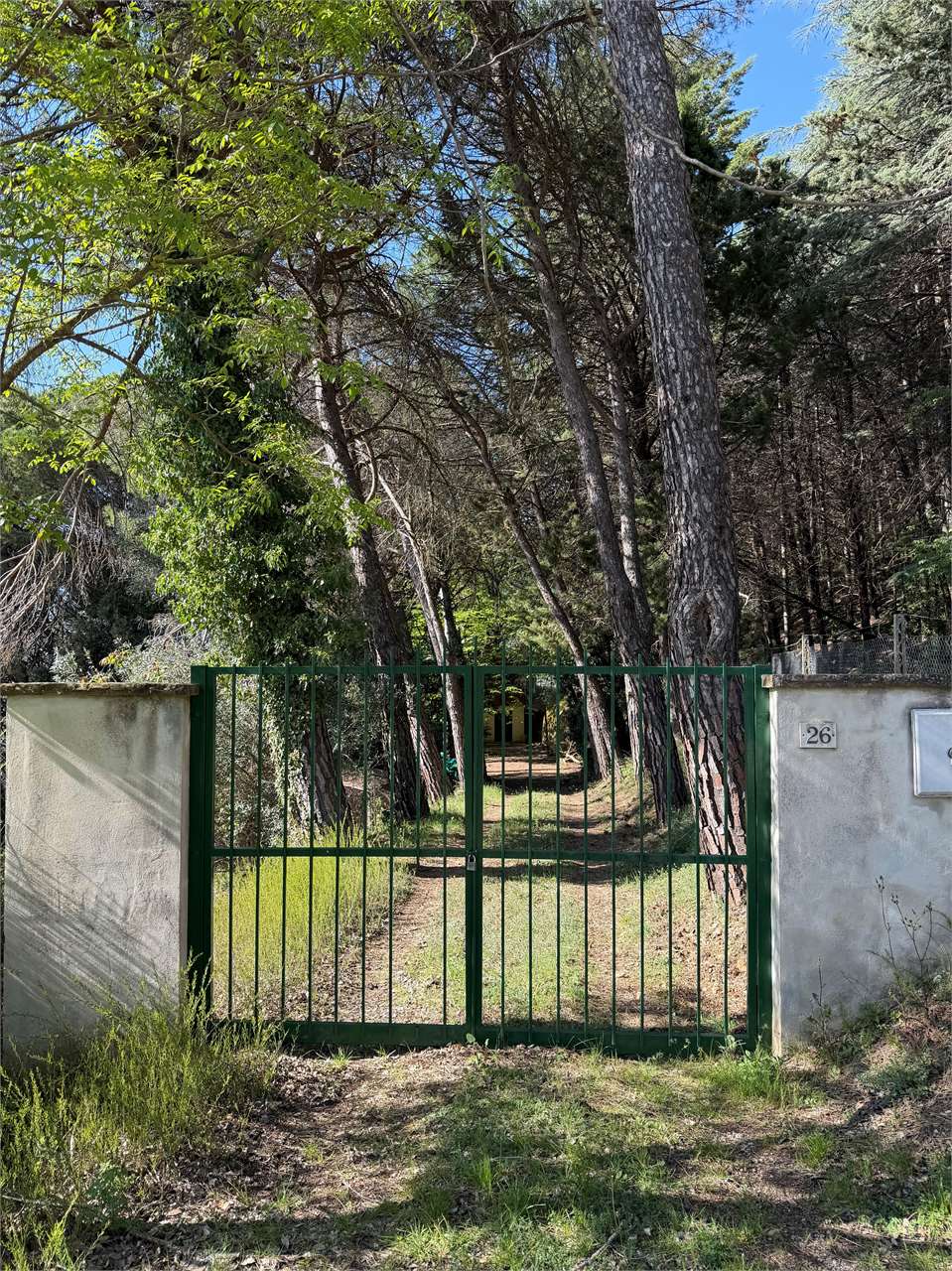 Villetta indipendente in vendita a Monte Tezio (Perugia) con giardino e bosco privato — in vendita a Perugia zona Colle Umberto I — anteprima 2