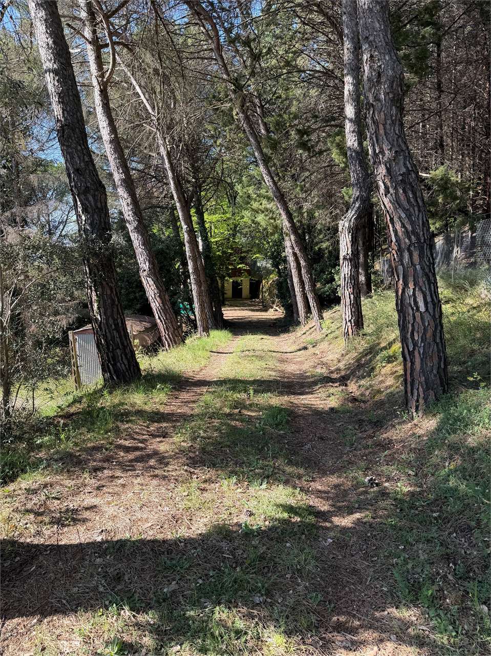 Villetta indipendente in vendita a Monte Tezio (Perugia) con giardino e bosco privato — in vendita a Perugia zona Colle Umberto I — anteprima 3