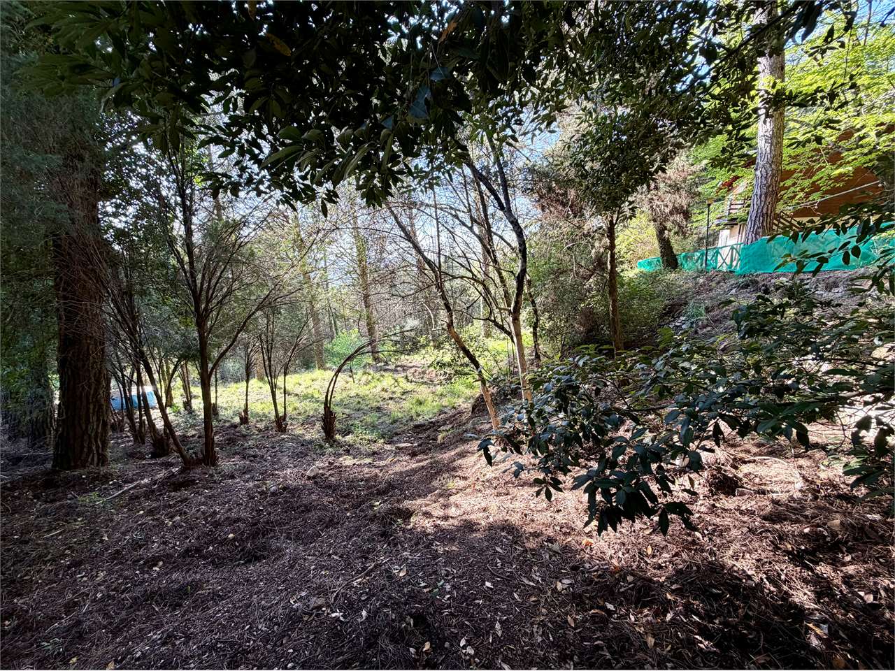 Villetta indipendente in vendita a Monte Tezio (Perugia) con giardino e bosco privato — in vendita a Perugia zona Colle Umberto I — anteprima 24