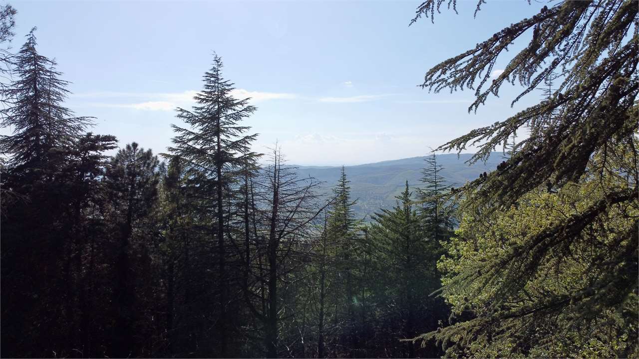 Villetta indipendente in vendita a Monte Tezio (Perugia) con giardino e bosco privato — in vendita a Perugia zona Colle Umberto I — anteprima 25