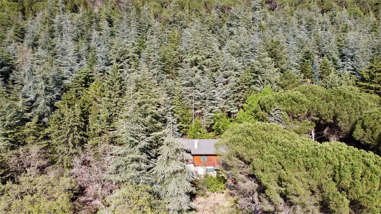Villetta indipendente in vendita a Monte Tezio (Perugia) con giardino e bosco privato — in vendita a Perugia zona Colle Umberto I — anteprima 29