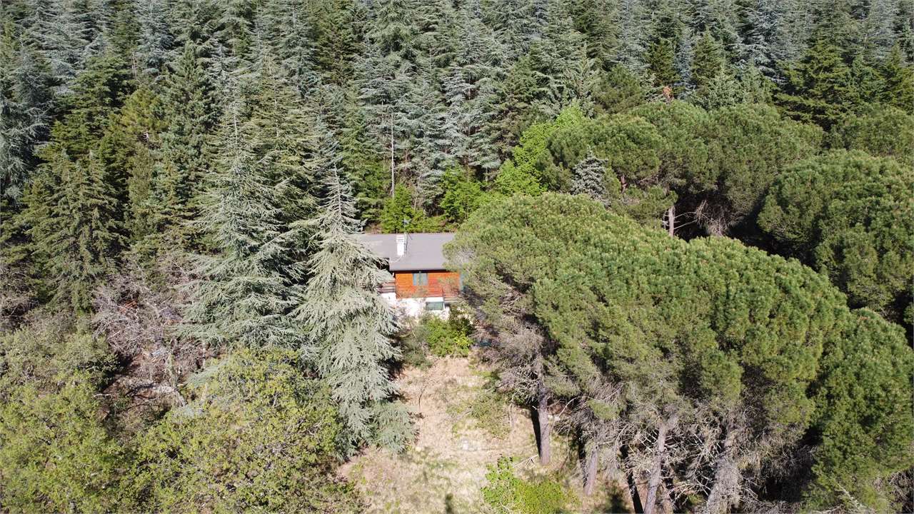 Villetta indipendente in vendita a Monte Tezio (Perugia) con giardino e bosco privato — in vendita a Perugia zona Colle Umberto I — anteprima 30
